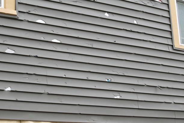 Best Vinyl Siding Installation  in Kathleen, FL